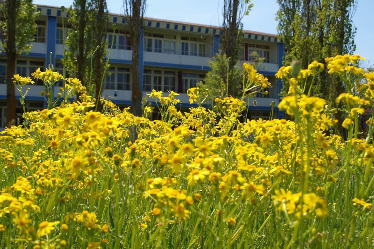 Neptun-2 Hotel Koblevo Exterior photo